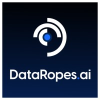 Data Ropes.ai