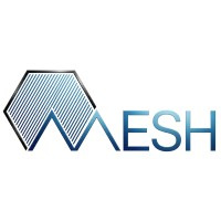 Mesh